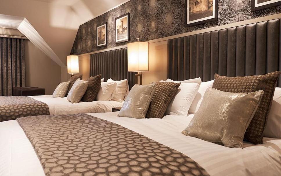 ניו דלהי Hotel Tulip Near Delhi Airport חדר תמונה